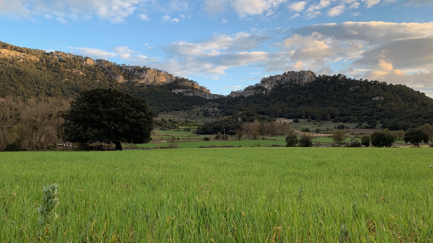 Entdecken Sie unsere Finca in der Serra de Tramuntana ...